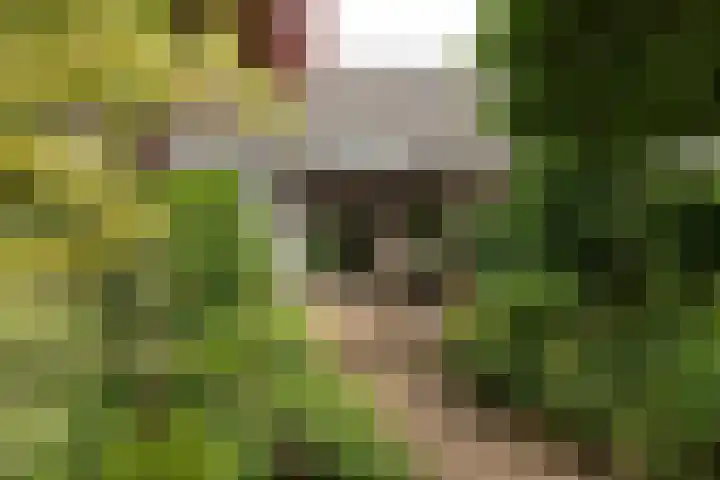 Van der Zaenlaan 10 Hilversum thumbnail 33