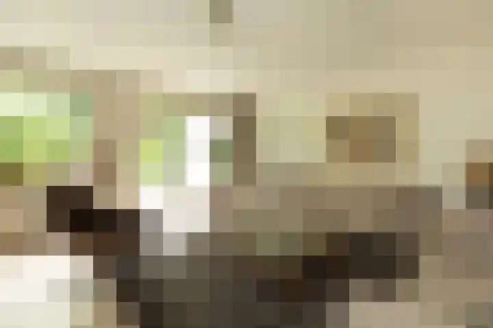 Van der Zaenlaan 10 Hilversum thumbnail 6
