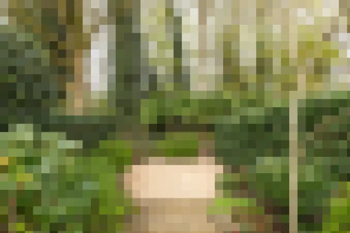 Van der Zaenlaan 11 Hilversum thumbnail 24