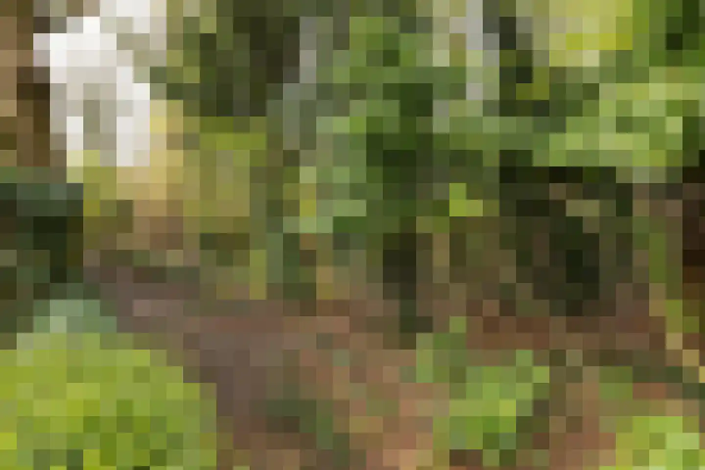 Van der Zaenlaan 11 Hilversum thumbnail 28