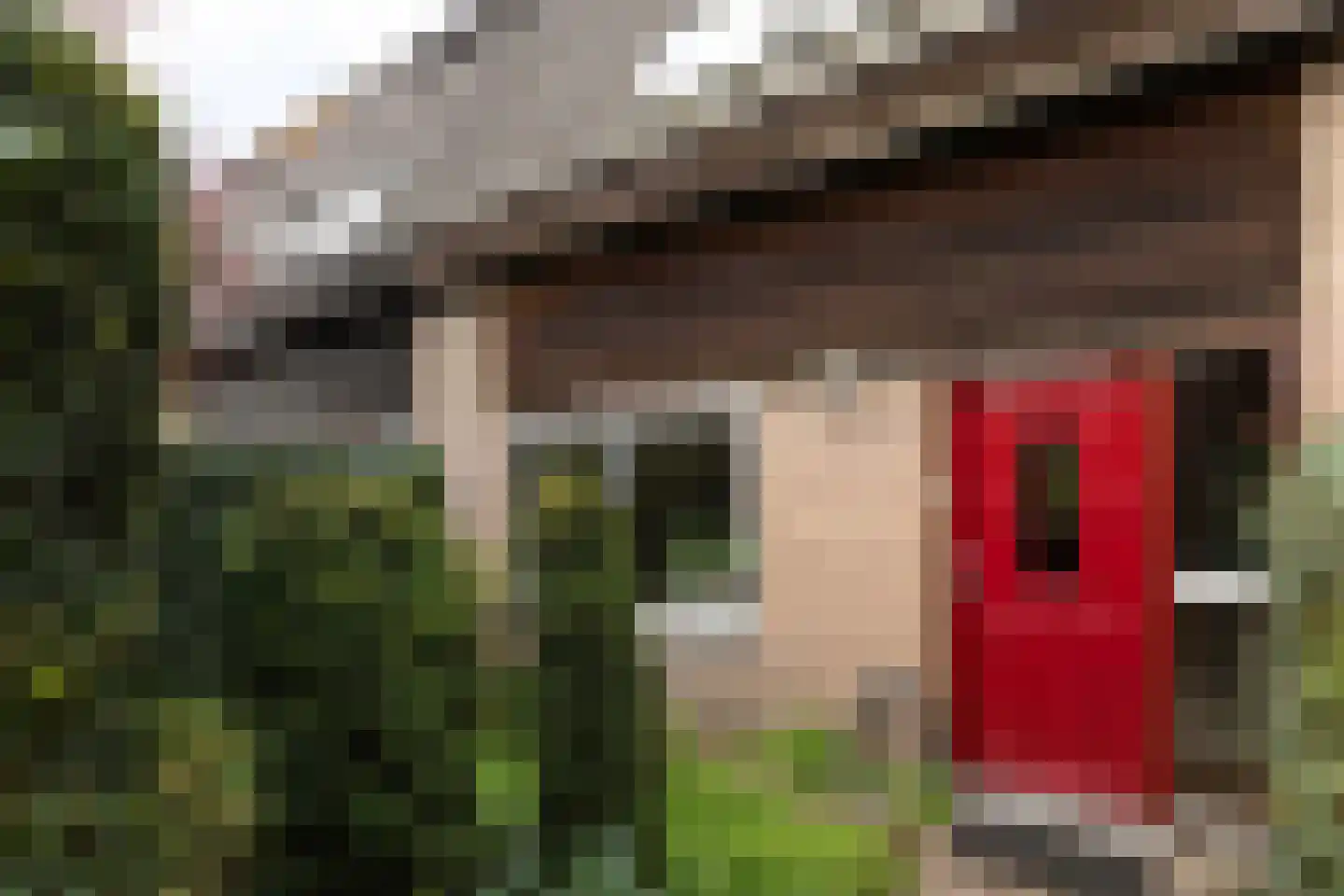 Van der Zaenlaan 11 Hilversum thumbnail 31