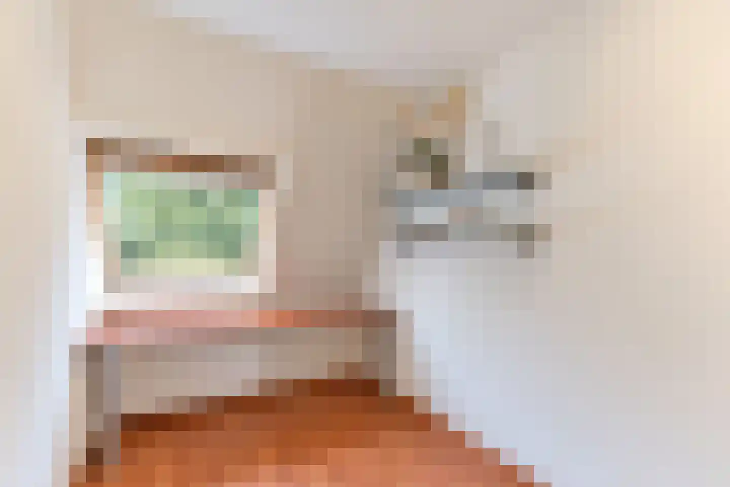 Van der Zaenlaan 13 Hilversum thumbnail 33