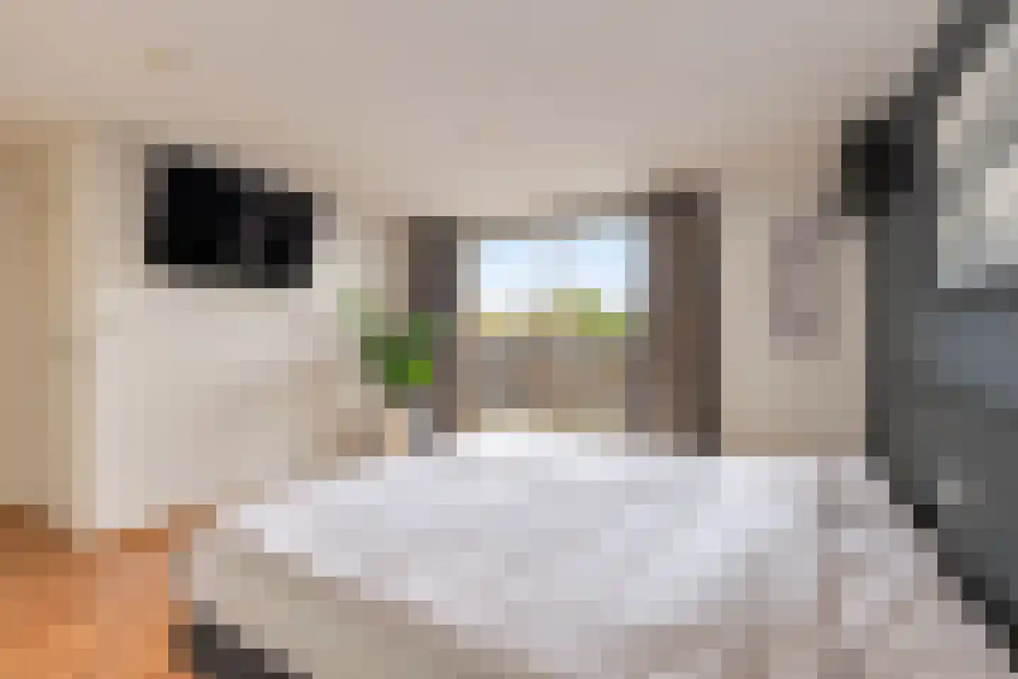 Van der Zaenlaan 13 Hilversum thumbnail 37