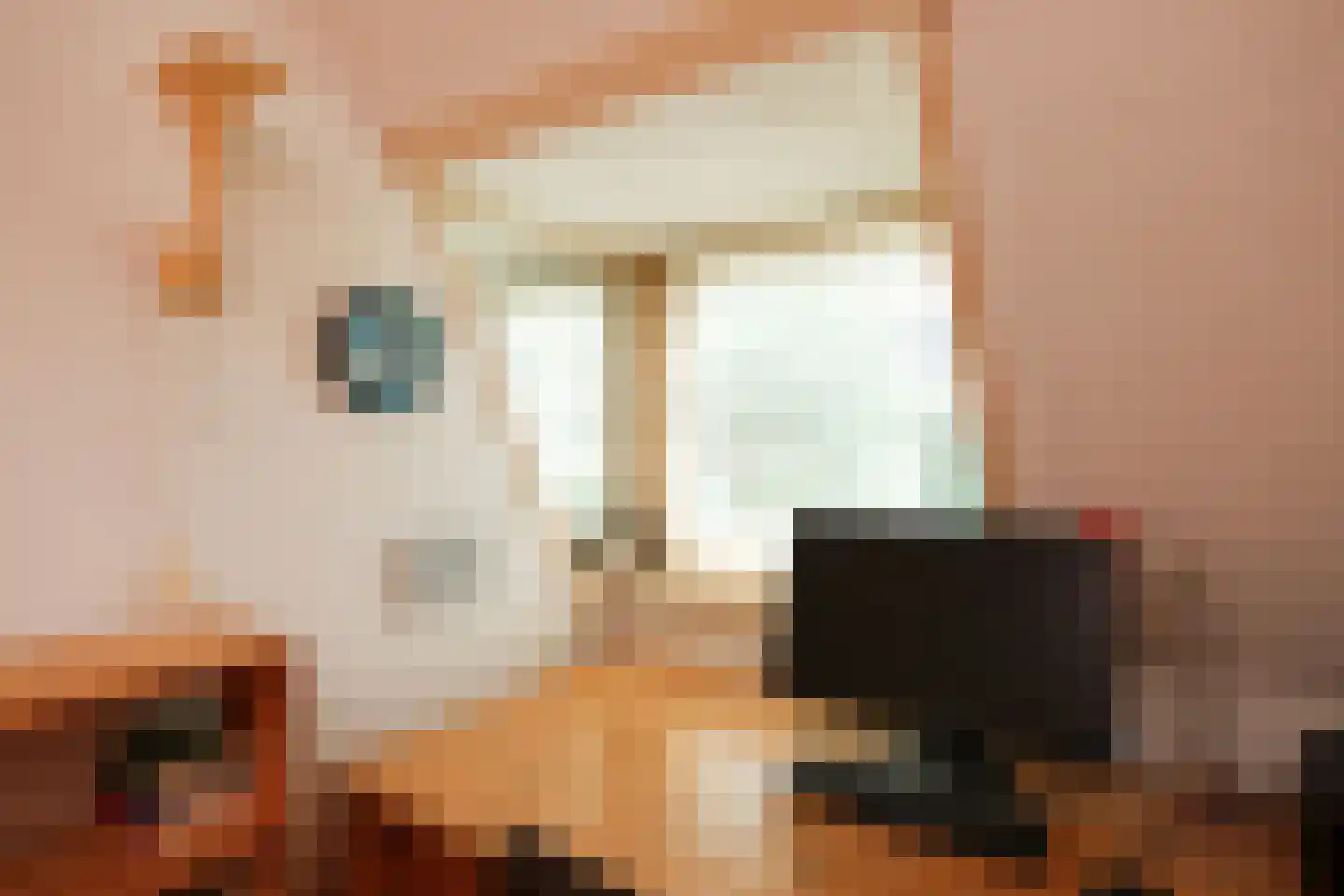 Van der Zaenlaan 15 Hilversum thumbnail 12