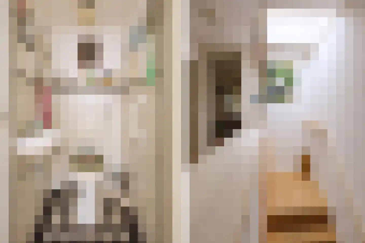 Van der Zaenlaan 15 Hilversum thumbnail 14
