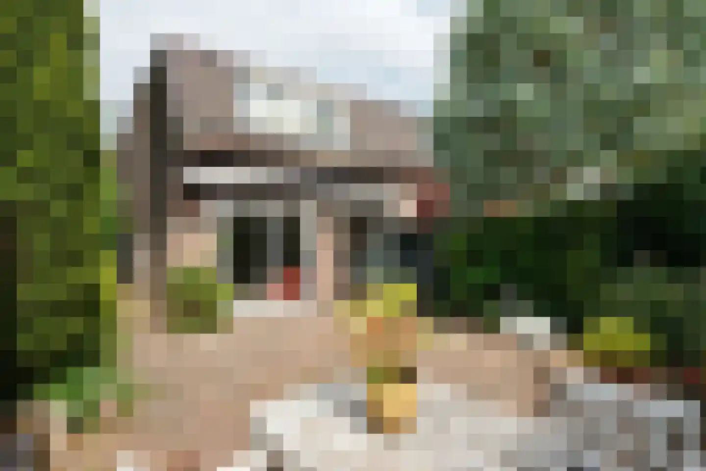 Van der Zaenlaan 15 Hilversum thumbnail 15