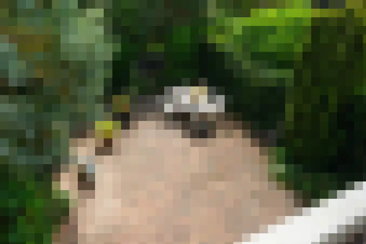 Van der Zaenlaan 15 Hilversum thumbnail 19