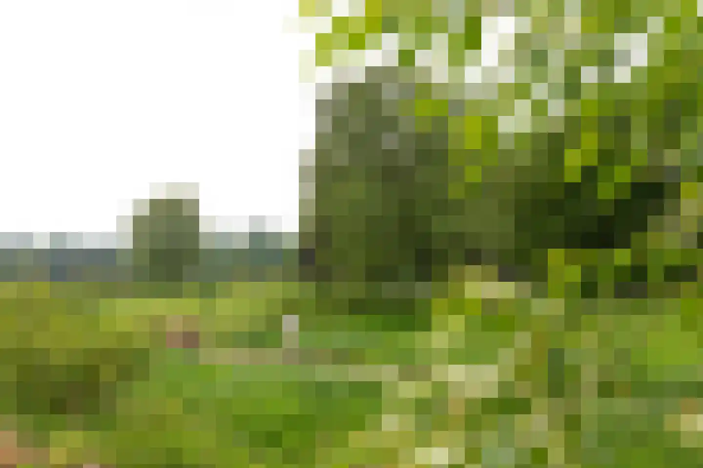 Van der Zaenlaan 15 Hilversum thumbnail 20