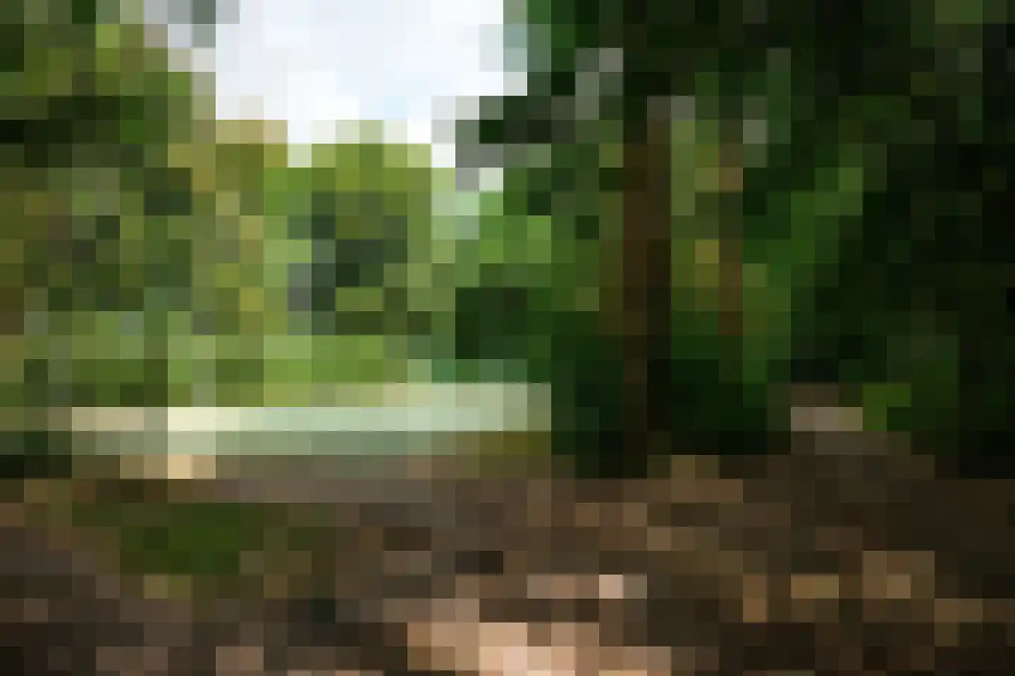 Van der Zaenlaan 15 Hilversum thumbnail 20