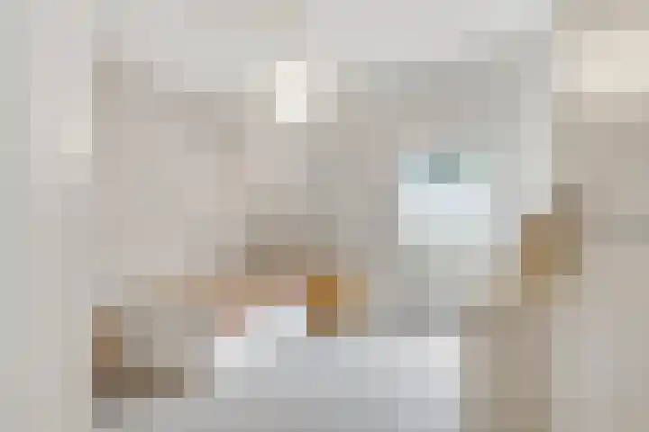 Van der Zaenlaan 8 Hilversum thumbnail 21