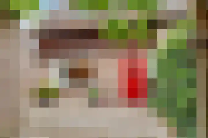 Van der Zaenlaan 8 Hilversum thumbnail 23