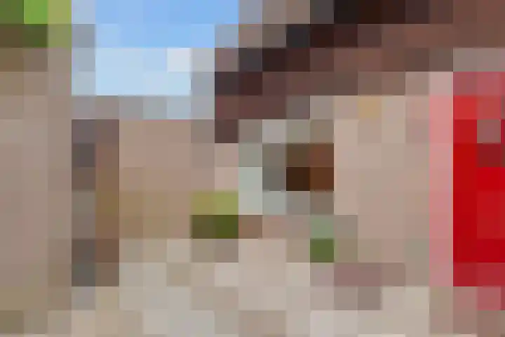 Van der Zaenlaan 8 Hilversum thumbnail 24