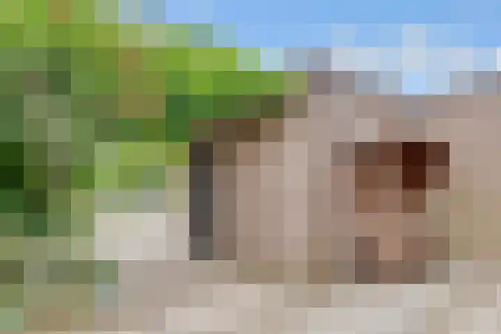 Van der Zaenlaan 8 Hilversum thumbnail 25
