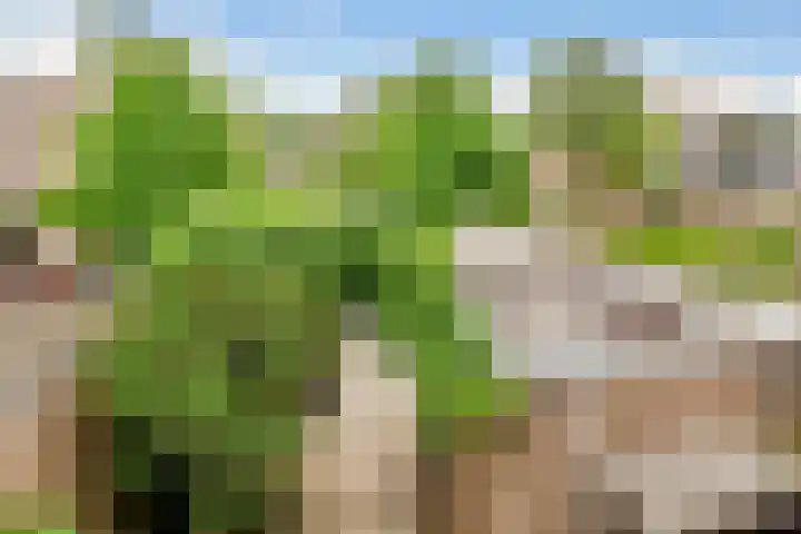Van der Zaenlaan 8 Hilversum thumbnail 26