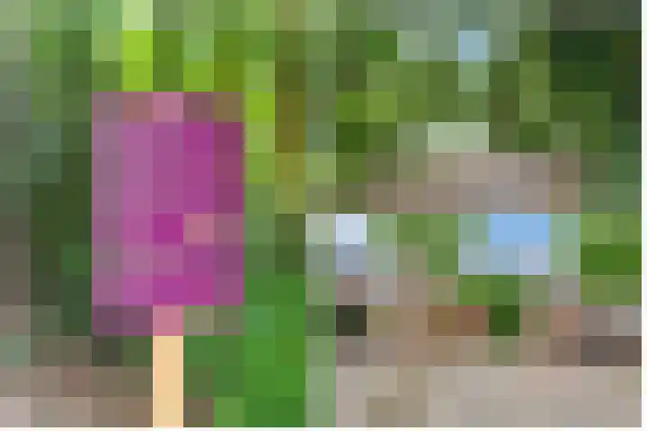 Van der Zaenlaan 8 Hilversum thumbnail 30