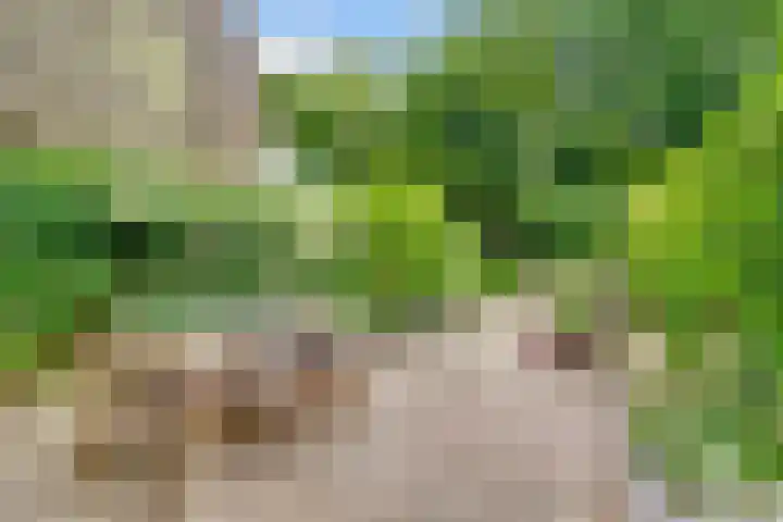Van der Zaenlaan 8 Hilversum thumbnail 31