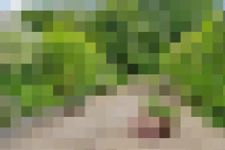Van der Zaenlaan 8 Hilversum thumbnail 32