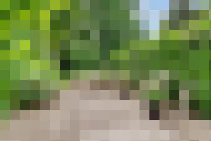 Van der Zaenlaan 8 Hilversum thumbnail 33