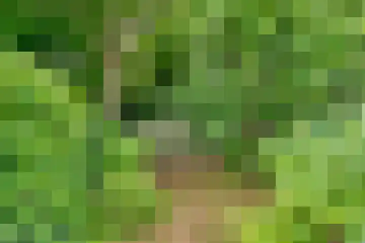 Van der Zaenlaan 8 Hilversum thumbnail 35