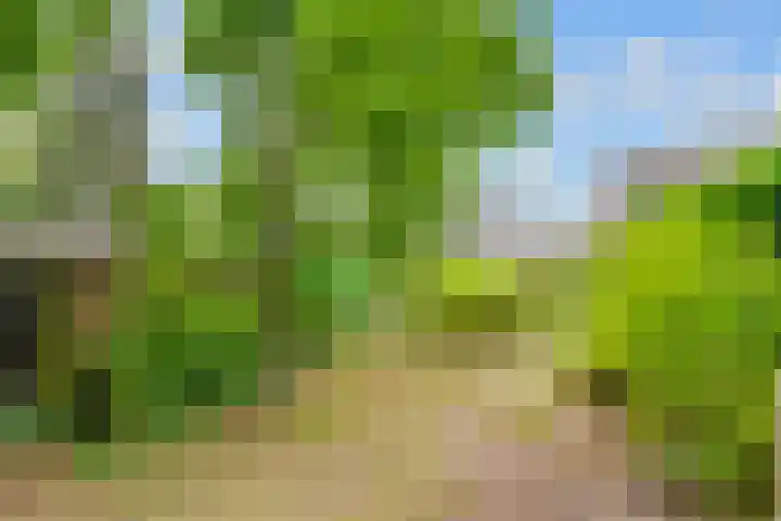 Van der Zaenlaan 8 Hilversum thumbnail 36
