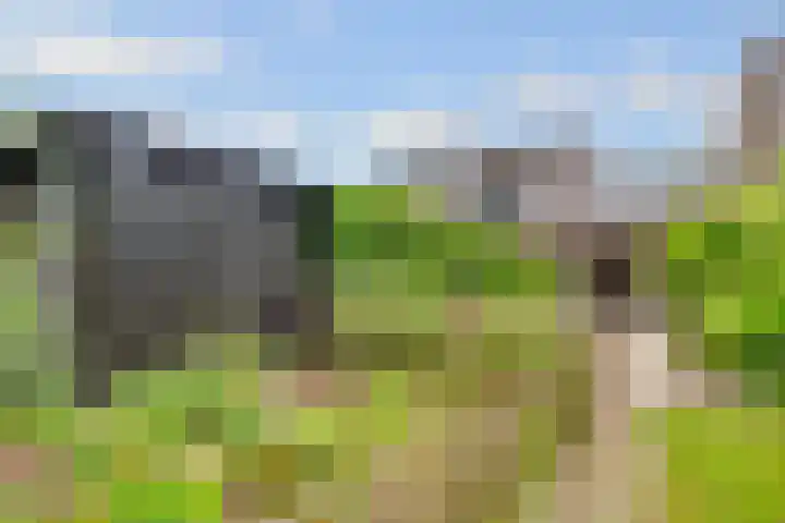 Van der Zaenlaan 8 Hilversum thumbnail 37