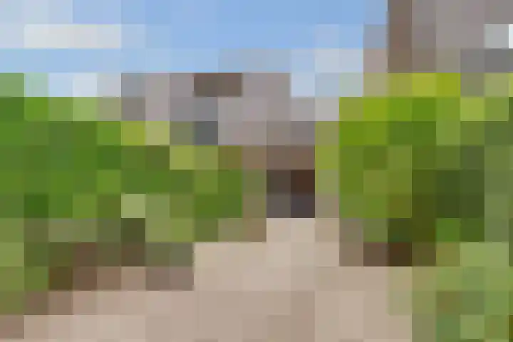 Van der Zaenlaan 8 Hilversum thumbnail 39