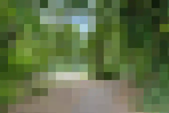 Van der Zaenlaan 8 Hilversum thumbnail 44