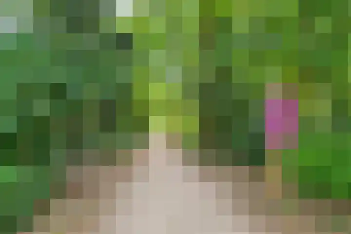 Van der Zaenlaan 8 Hilversum thumbnail 45