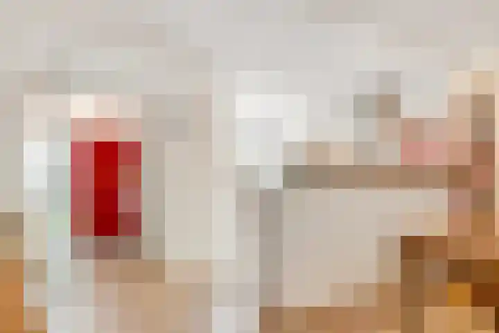 Van der Zaenlaan 8 Hilversum thumbnail 6