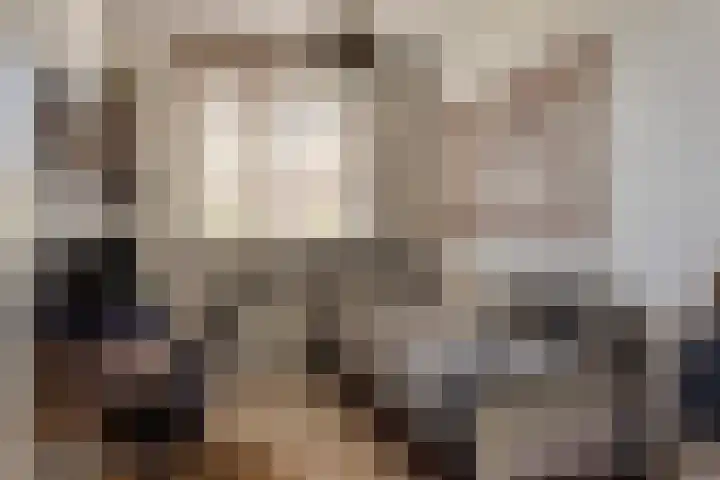 Van der Zaenpad 5 Amersfoort thumbnail 18