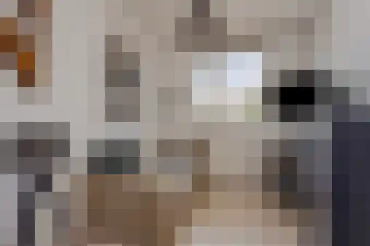 Van der Zaenpad 5 Amersfoort thumbnail 20