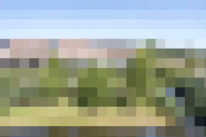 Van der Zaenpad 5 Amersfoort thumbnail 34