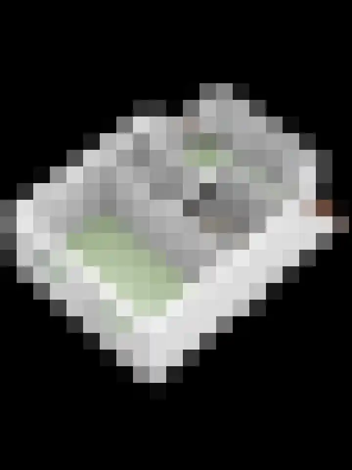 Van der Zaenpad 5 Amersfoort thumbnail 47