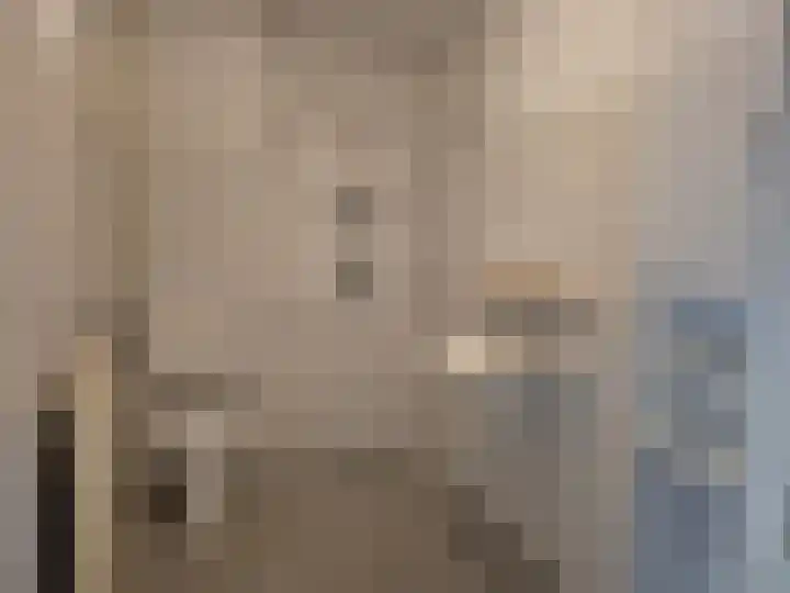 van der Zandenstraat 18 Eersel thumbnail 11