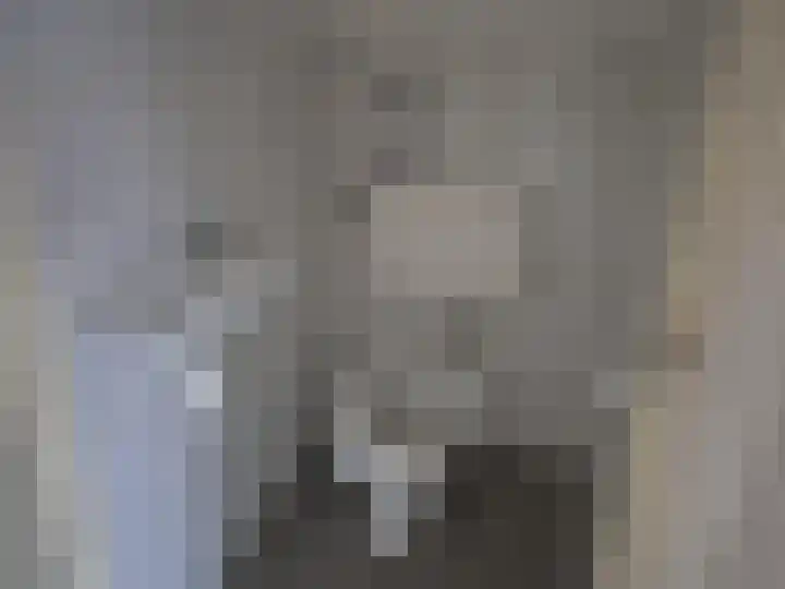 van der Zandenstraat 18 Eersel thumbnail 5