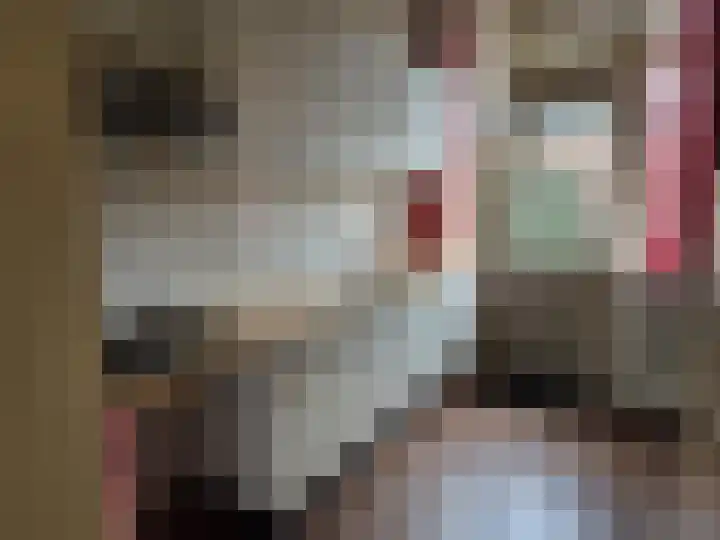 van der Zandenstraat 18 Eersel thumbnail 6