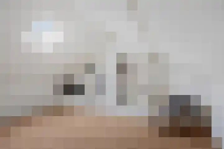 van der Zandenstraat 22 Eersel thumbnail 14