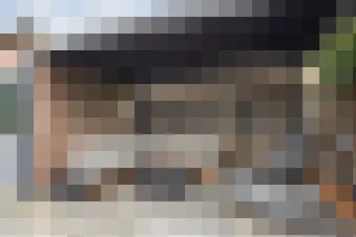 van der Zandenstraat 22 Eersel thumbnail 17