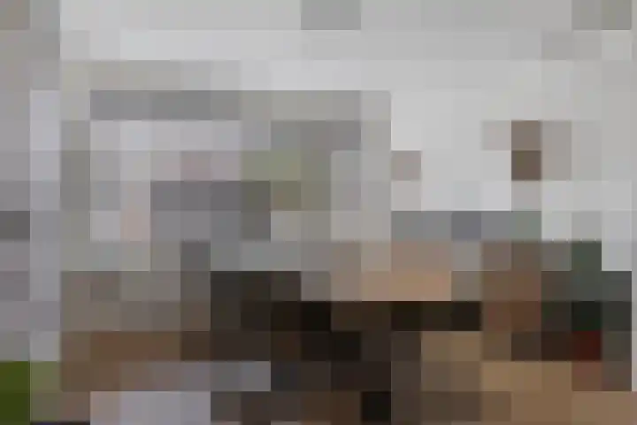 van der Zandenstraat 22 Eersel thumbnail 5
