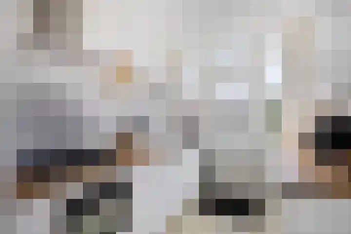 van der Zandenstraat 22 Eersel thumbnail 6