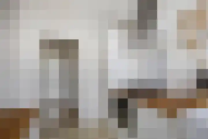 van der Zandenstraat 22 Eersel thumbnail 7
