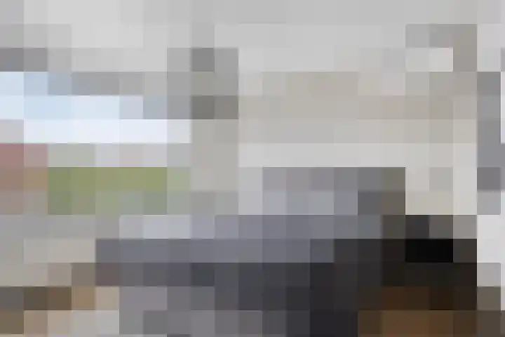 van der Zandenstraat 22 Eersel thumbnail 8