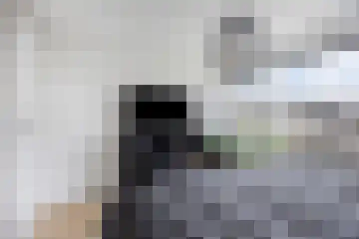 van der Zandenstraat 22 Eersel thumbnail 9