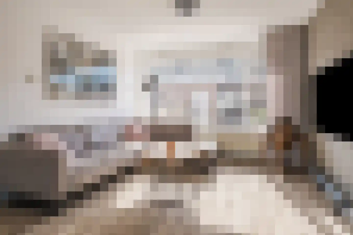 van der Zandenstraat 32 Eersel thumbnail 10
