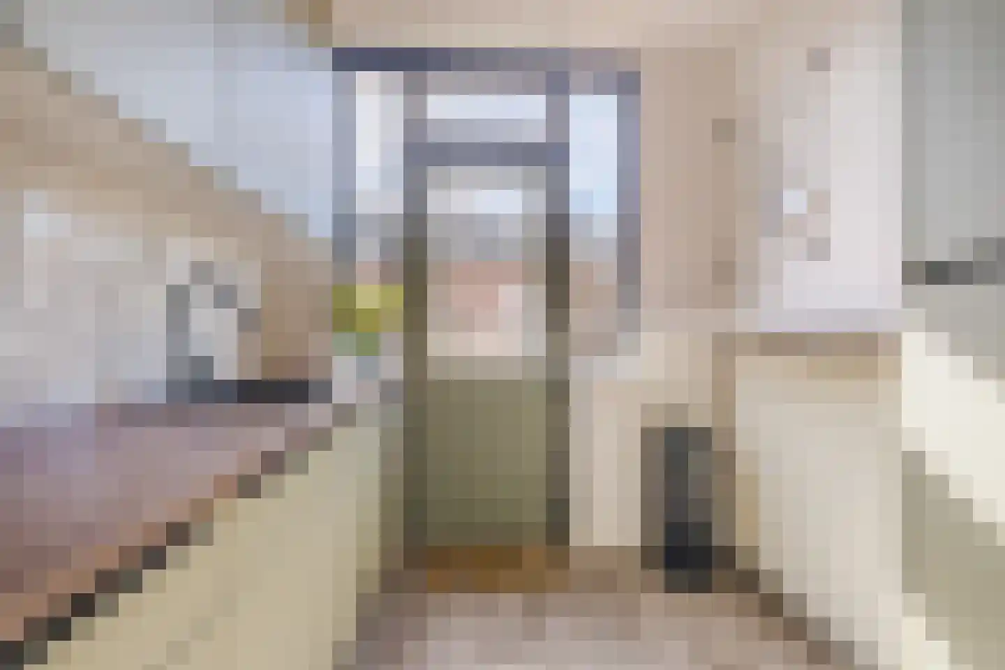 van der Zandenstraat 32 Eersel thumbnail 11