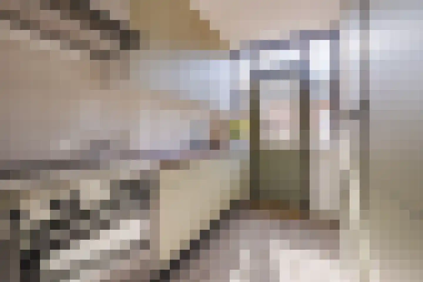 van der Zandenstraat 32 Eersel thumbnail 12