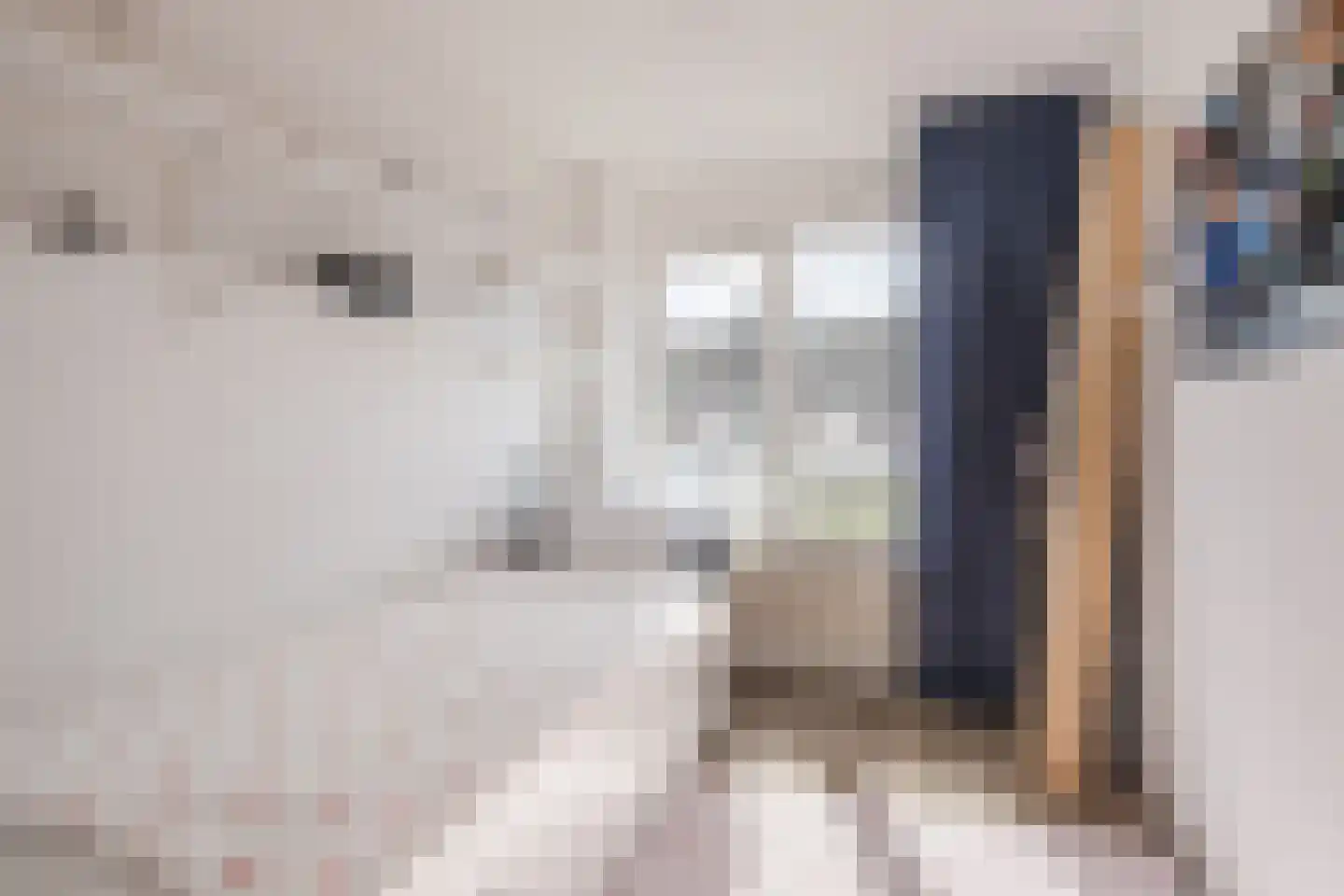 van der Zandenstraat 32 Eersel thumbnail 20
