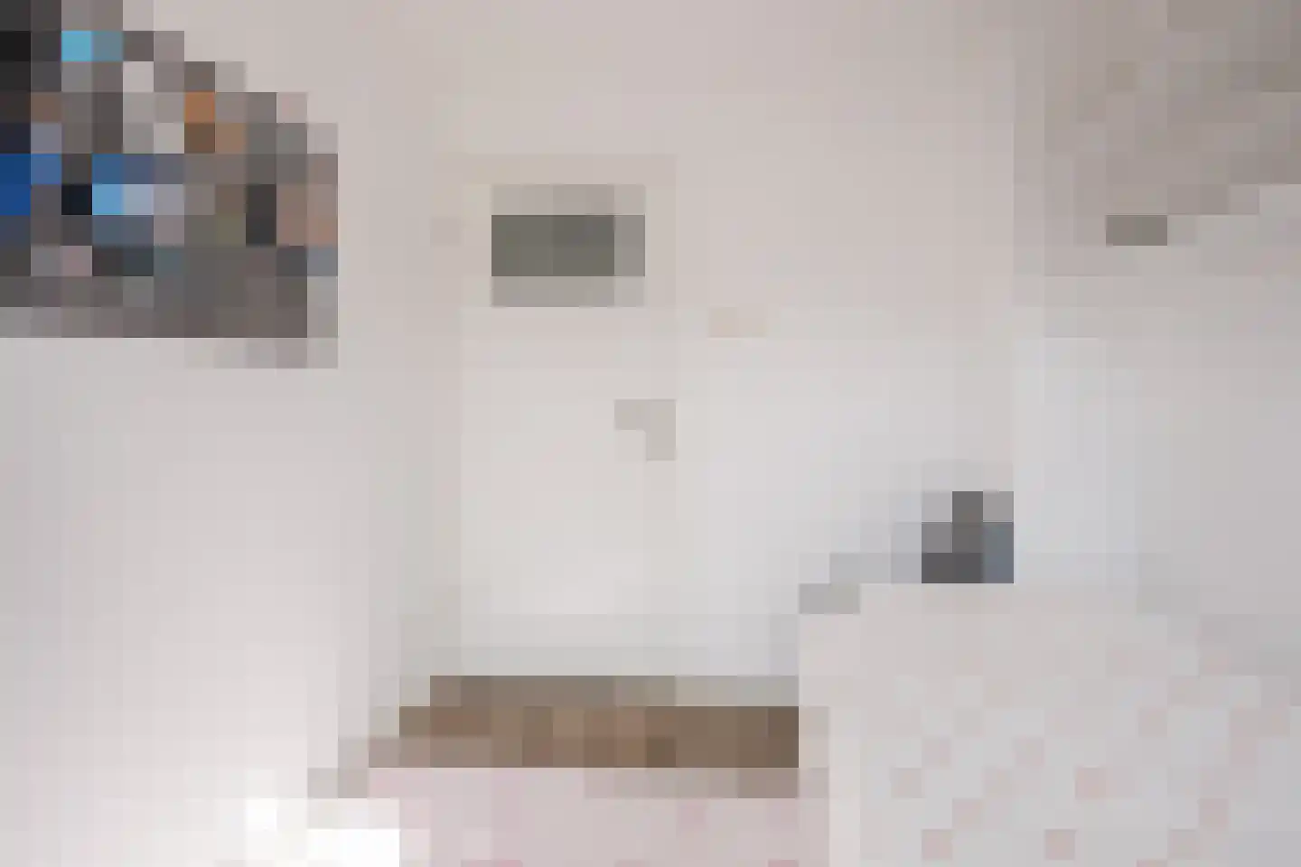 van der Zandenstraat 32 Eersel thumbnail 21