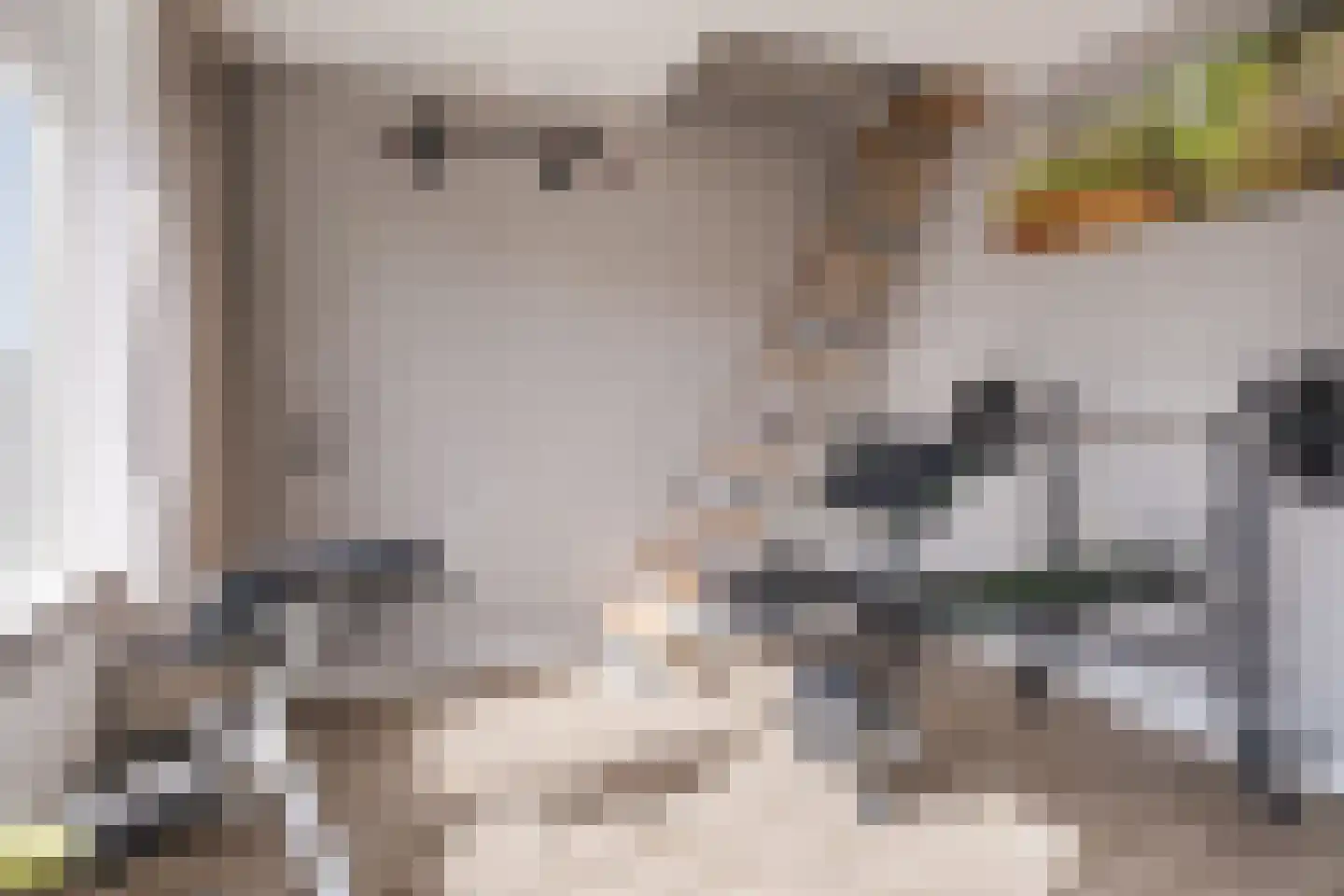 van der Zandenstraat 32 Eersel thumbnail 23