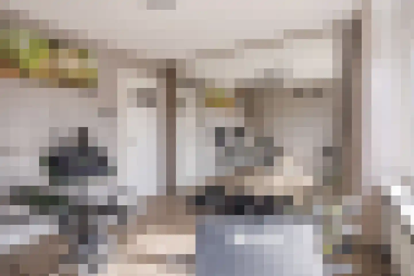 van der Zandenstraat 32 Eersel thumbnail 24